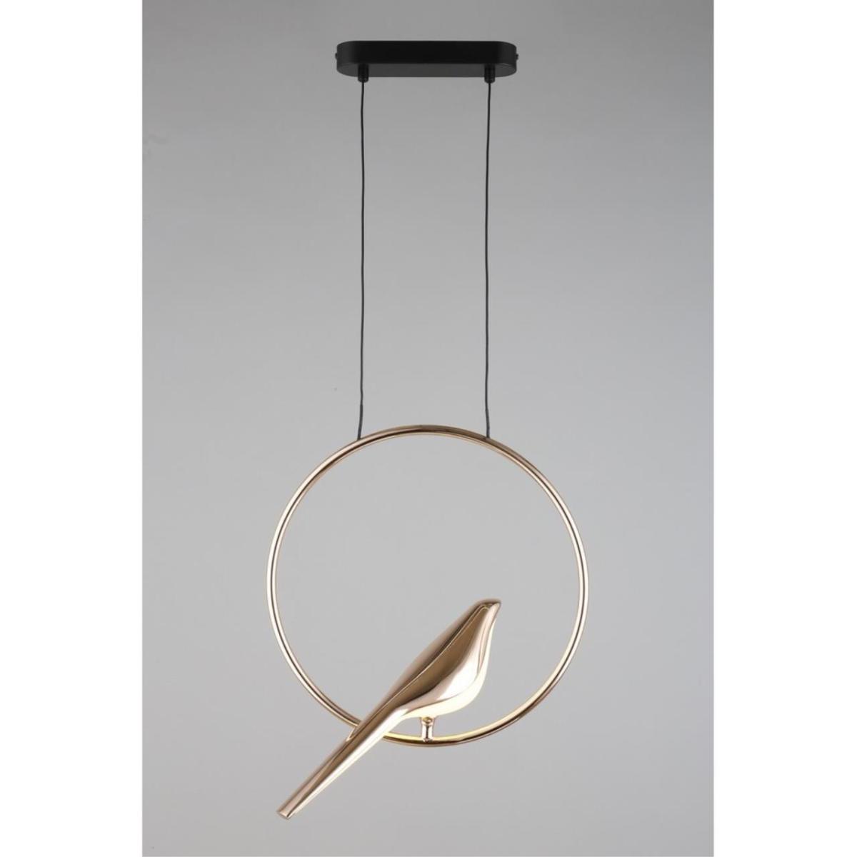 Подвесной светодиодный светильник Aployt Astor APL.822.06.10 в Санкт-Петербурге