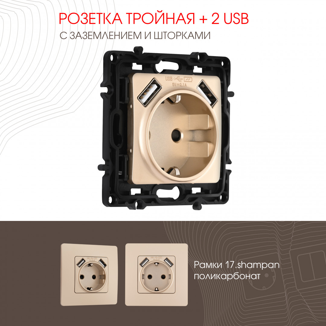 Розетка с заземлением, шторками + 2 USB Arte Milano 217.47-1.shampan в Санкт-Петербурге