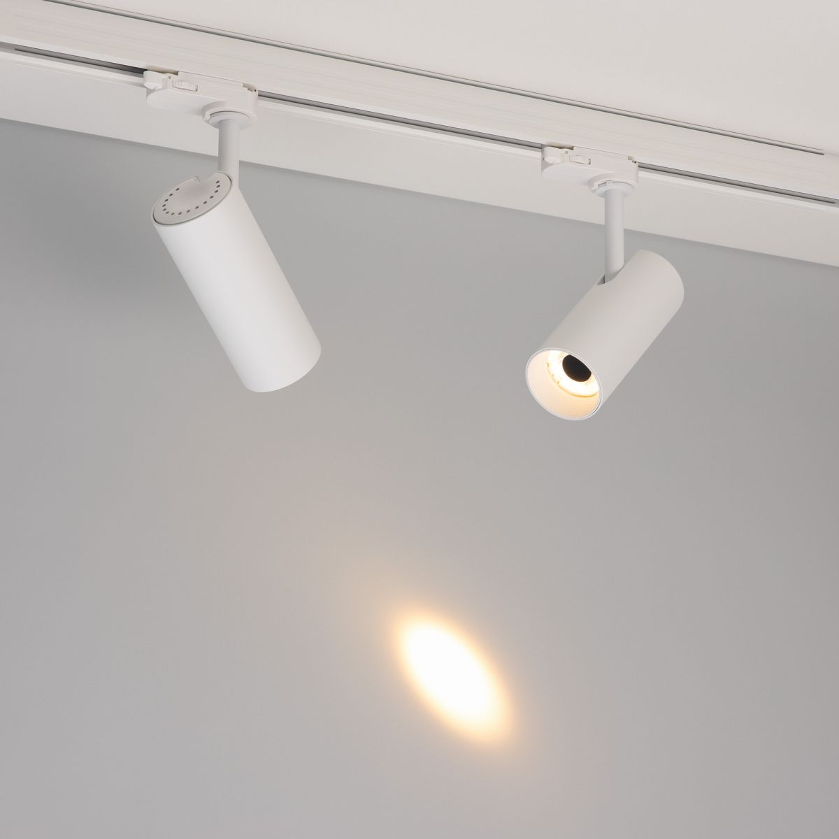 Трековый трехфазный светильник Arlight LGD-SILMA-4TR-R55-4W Warm2700 (WH, 4 deg, 230V) (IP20 Металл) 060461 в #REGION_NAME_DECLINE_PP#