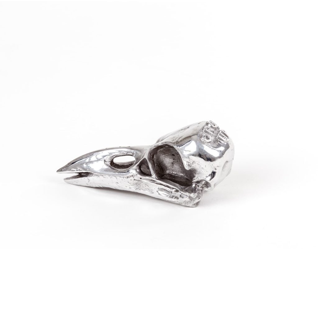 Статуэтка Bird Skull Seletti Wunderkammer 10895 в Санкт-Петербурге
