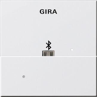 Лицевая панель USB Mikro-B Gira System 55 для вставки док-станции чисто-белый шелковисто-матовый 228503 в Санкт-Петербурге