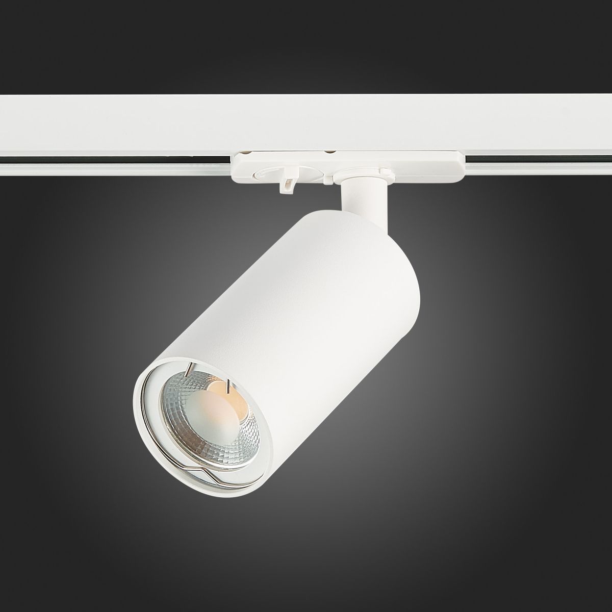 Трековый однофазный светильник ST Luce Base ST300.506.01.1 в Санкт-Петербурге