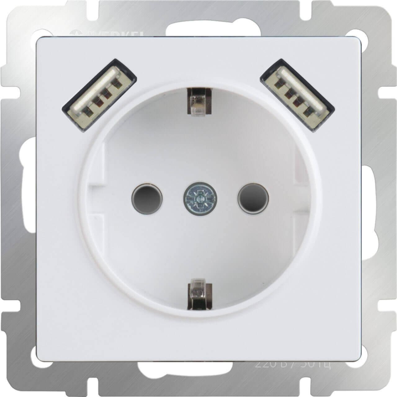 Розетка Werkel с заземлением, USBx2 белая WL01-SKGS-USBx2-IP20 4690389073199 в Санкт-Петербурге
