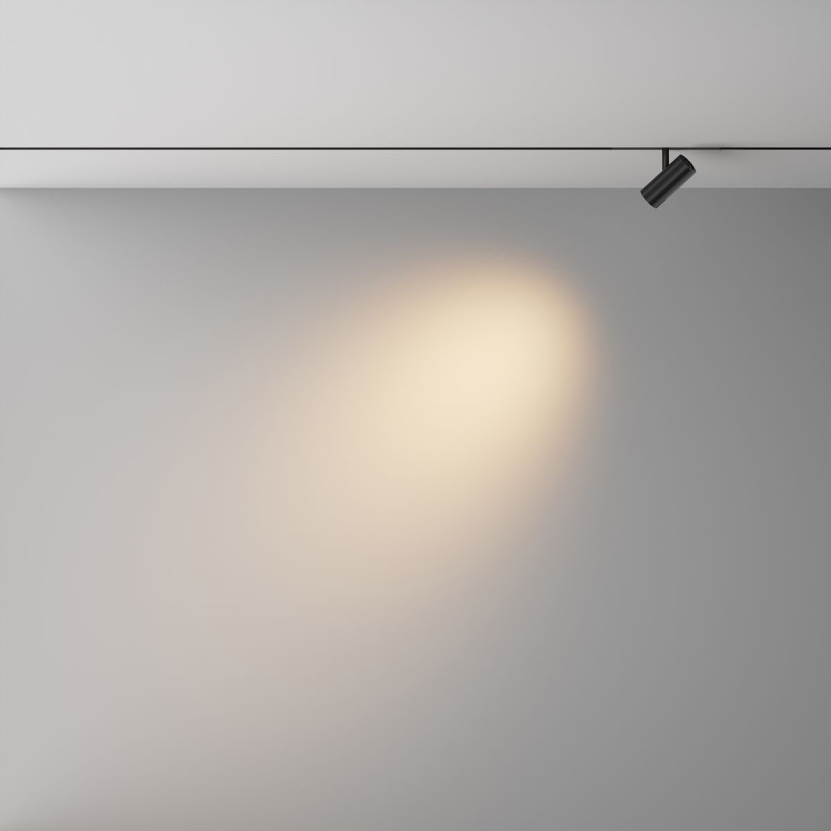 Трековый магнитный светильник Maytoni Technical Focus Led Exility X TR243-4-5WTW-DD2-B в Санкт-Петербурге