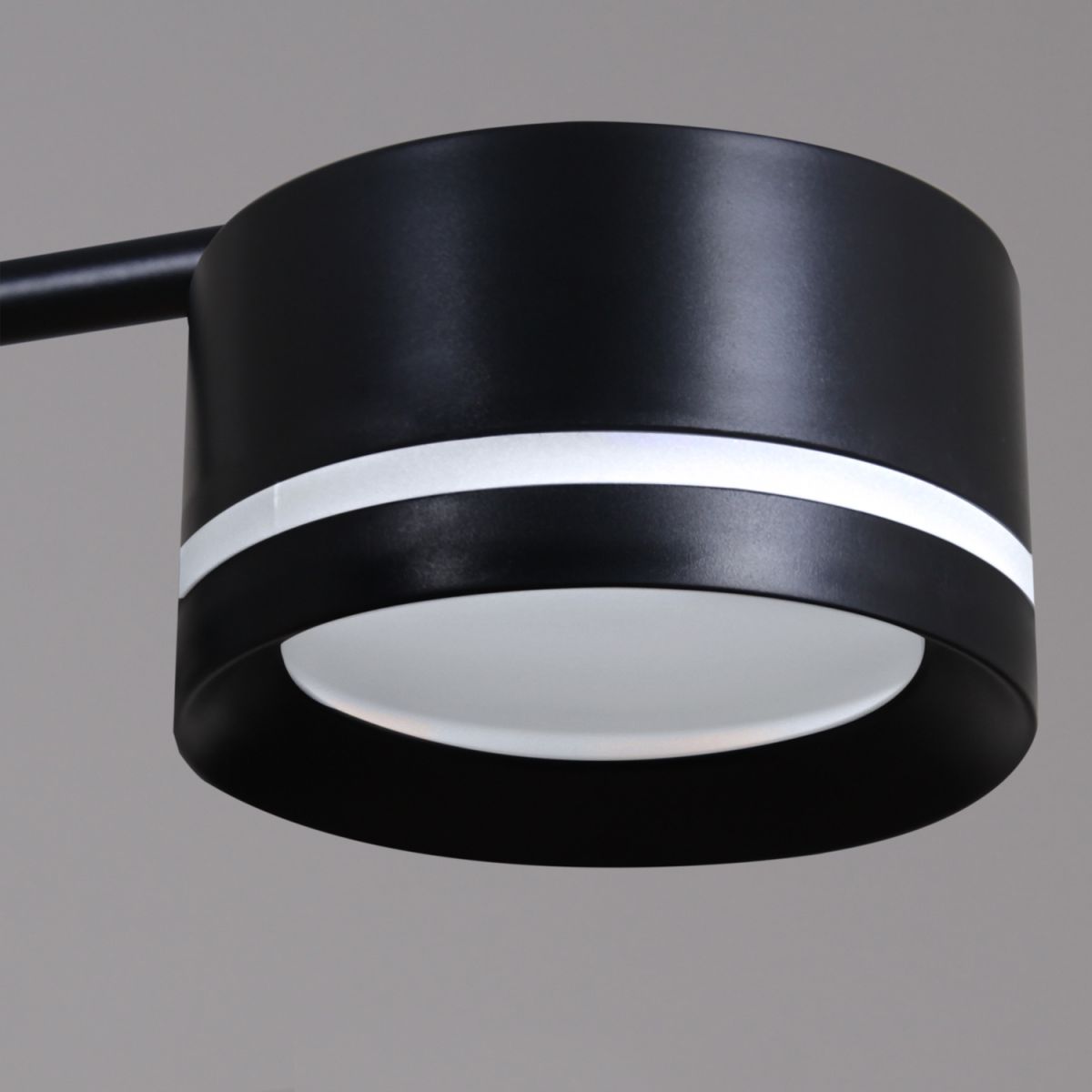 Потолочная люстра Reluce 19490-0.4-08 Black в Санкт-Петербурге