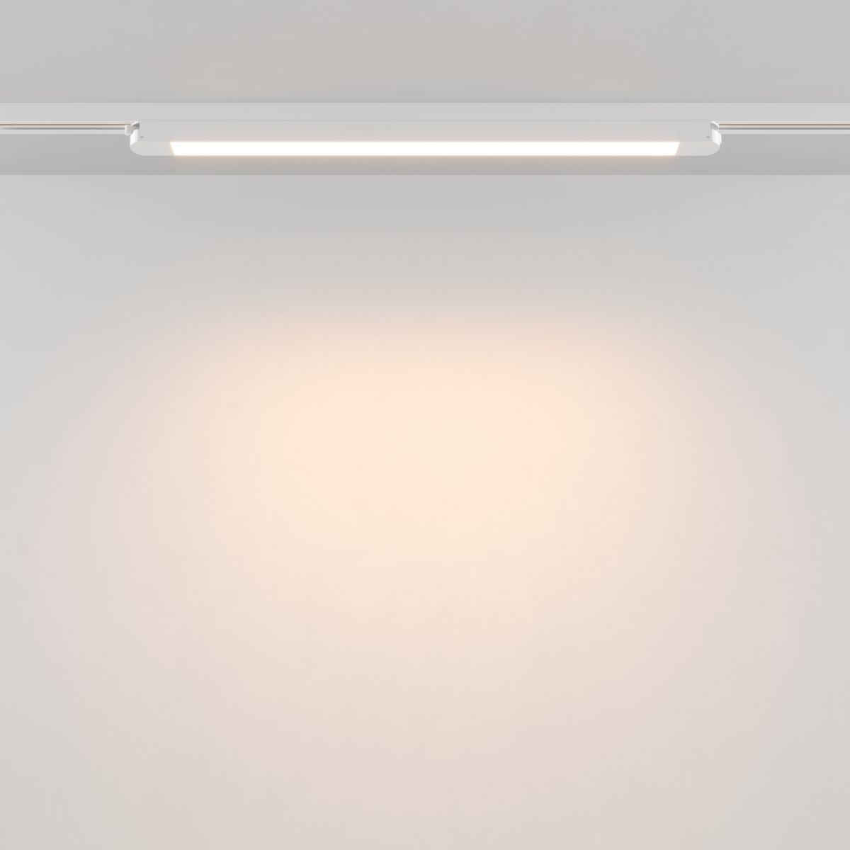 Трековый однофазный светильник Maytoni Technical Basis TR000-1-24W3K-W_1 в #REGION_NAME_DECLINE_PP#