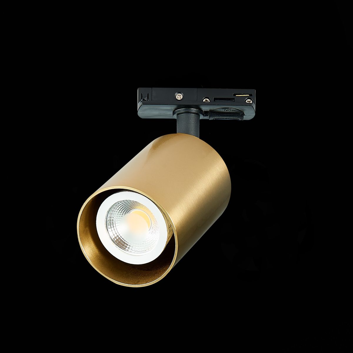 Трековый светильник ST Luce ST302 ST302.206.01 в Санкт-Петербурге