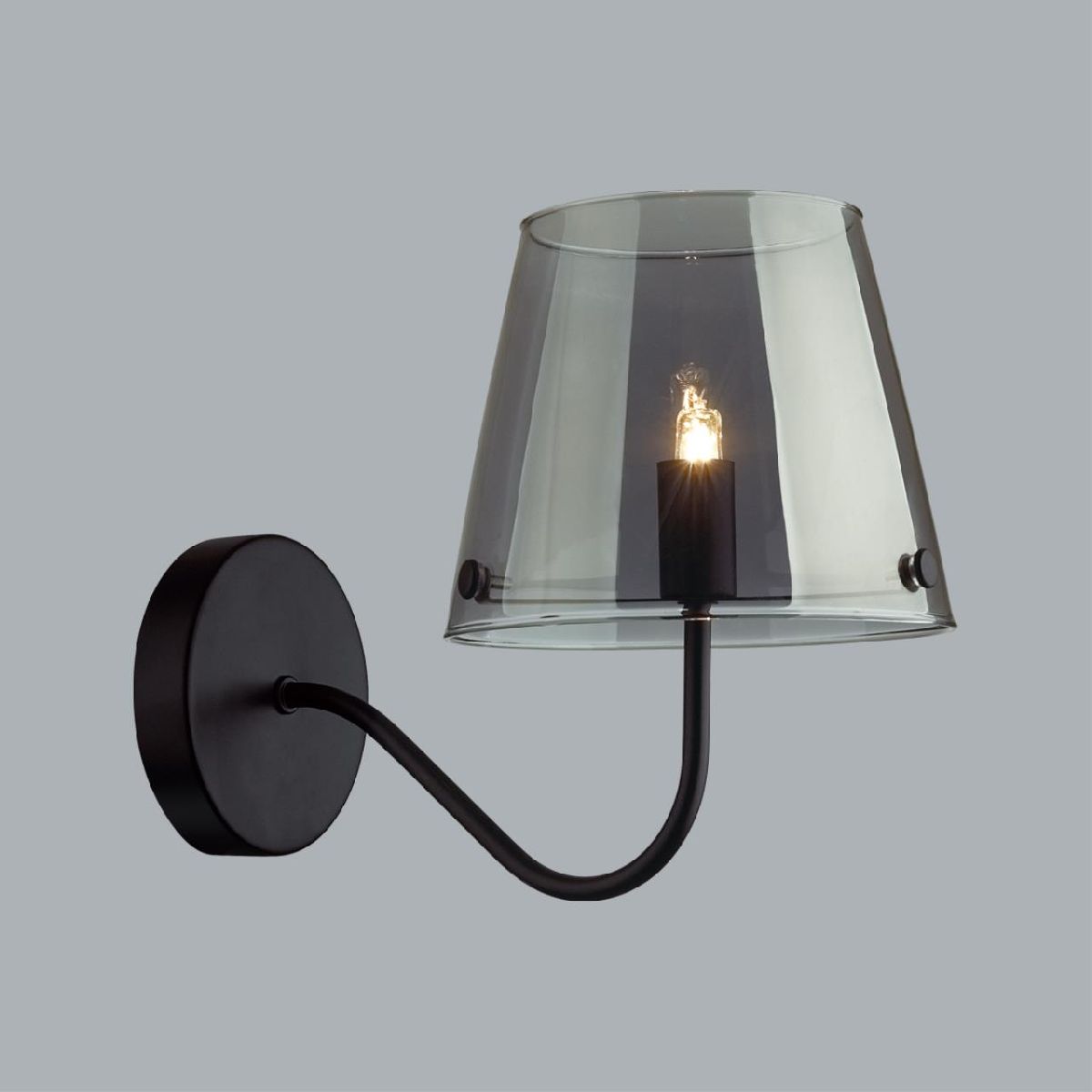 Бра Lumion Smoky 6570/1W в Санкт-Петербурге