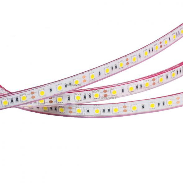 Светодиодная лента Arlight RTW 2-5000PGS 12V Day 2x (5060, 300 LED, LUX) 015452 в Санкт-Петербурге