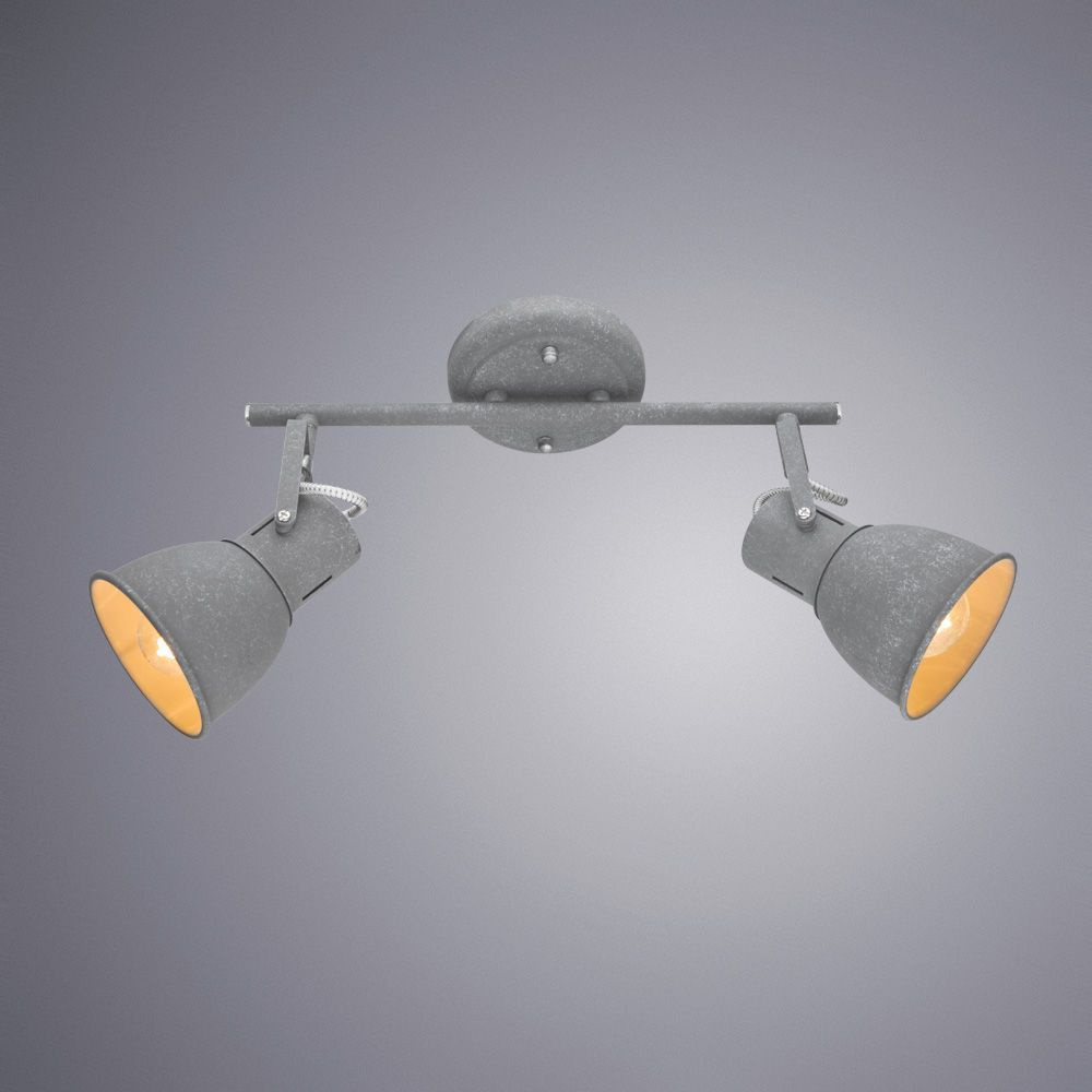 Спот Arte Lamp A1677PL-2GY в Санкт-Петербурге