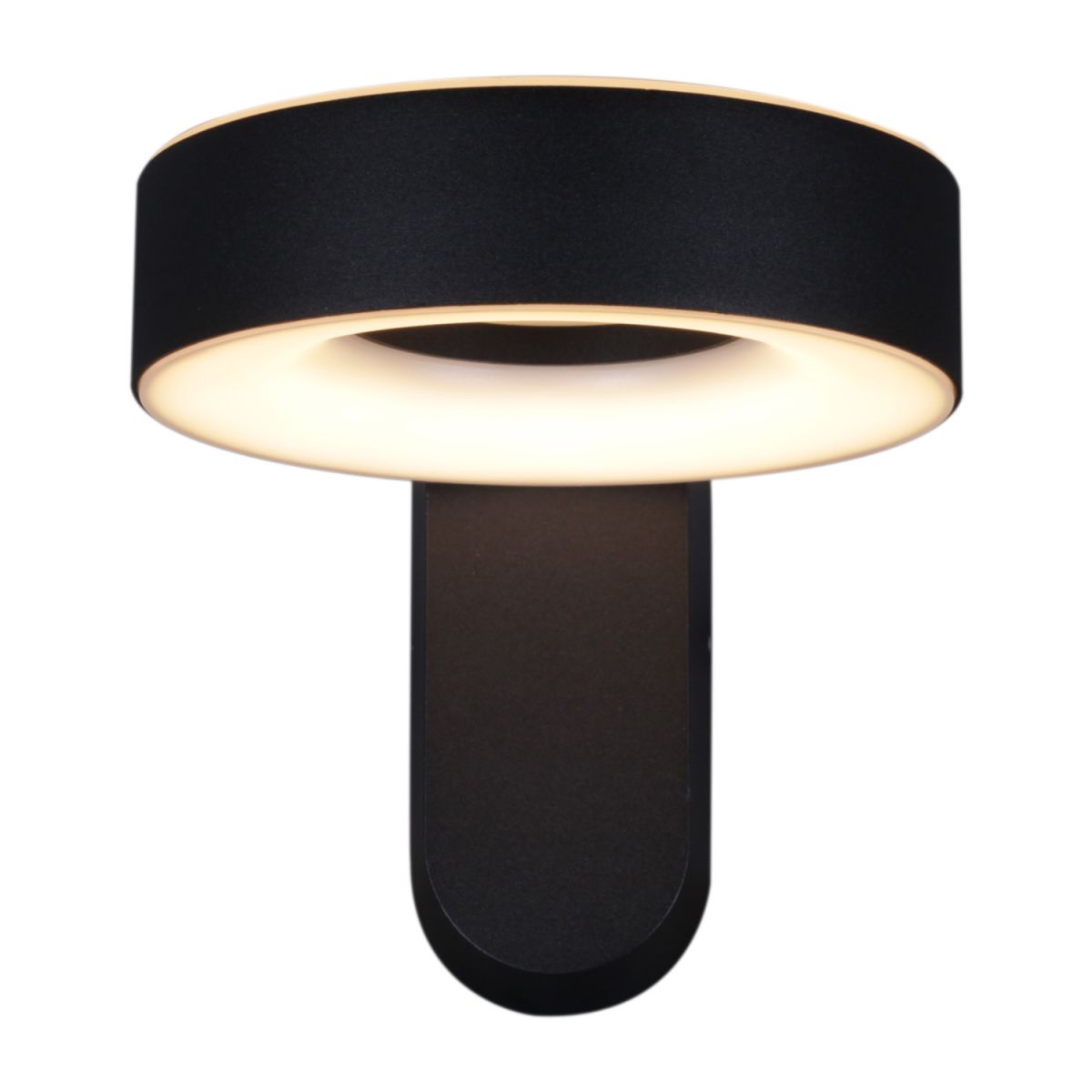 Уличный настенный светильник Reluce 86869-9.2-001JH LED2*12W BK в Санкт-Петербурге