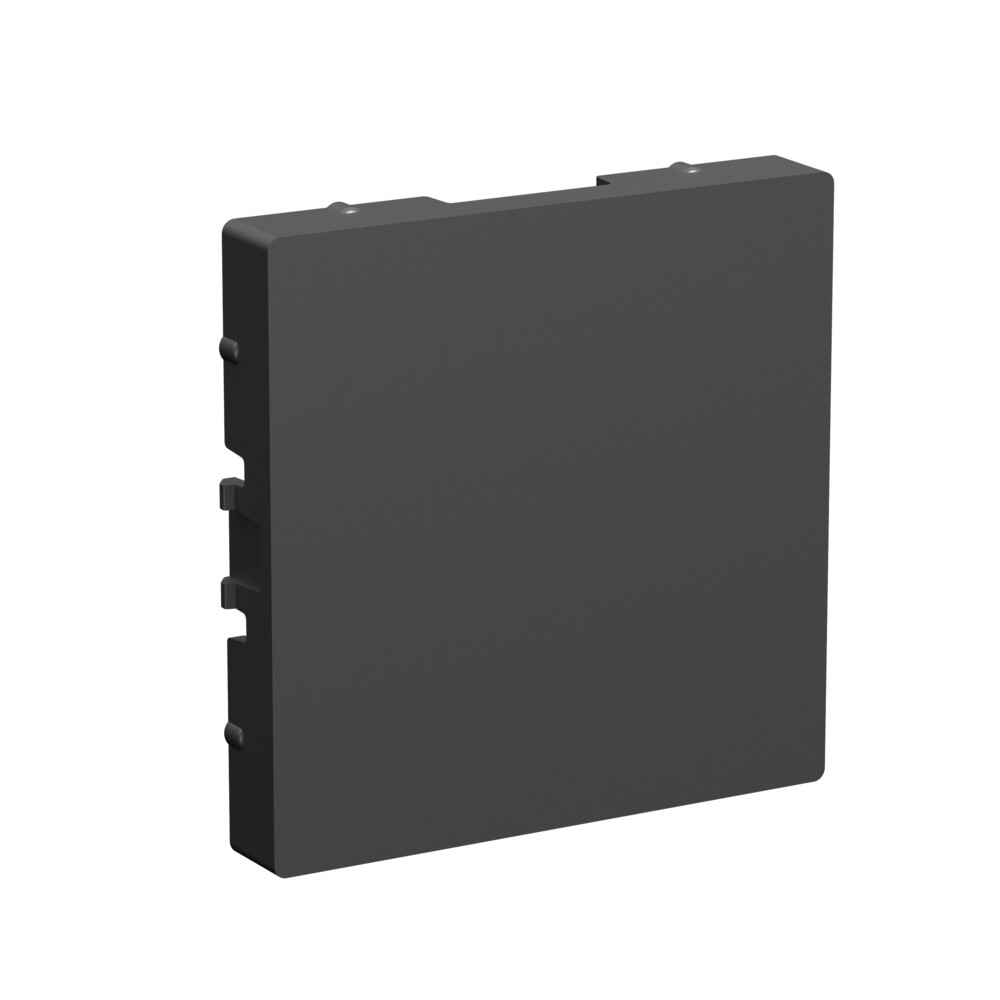 Заглушка без суппорта для многопостовых рамок Systeme Electric AtlasDesign Базальт ATN001409 в #REGION_NAME_DECLINE_PP#