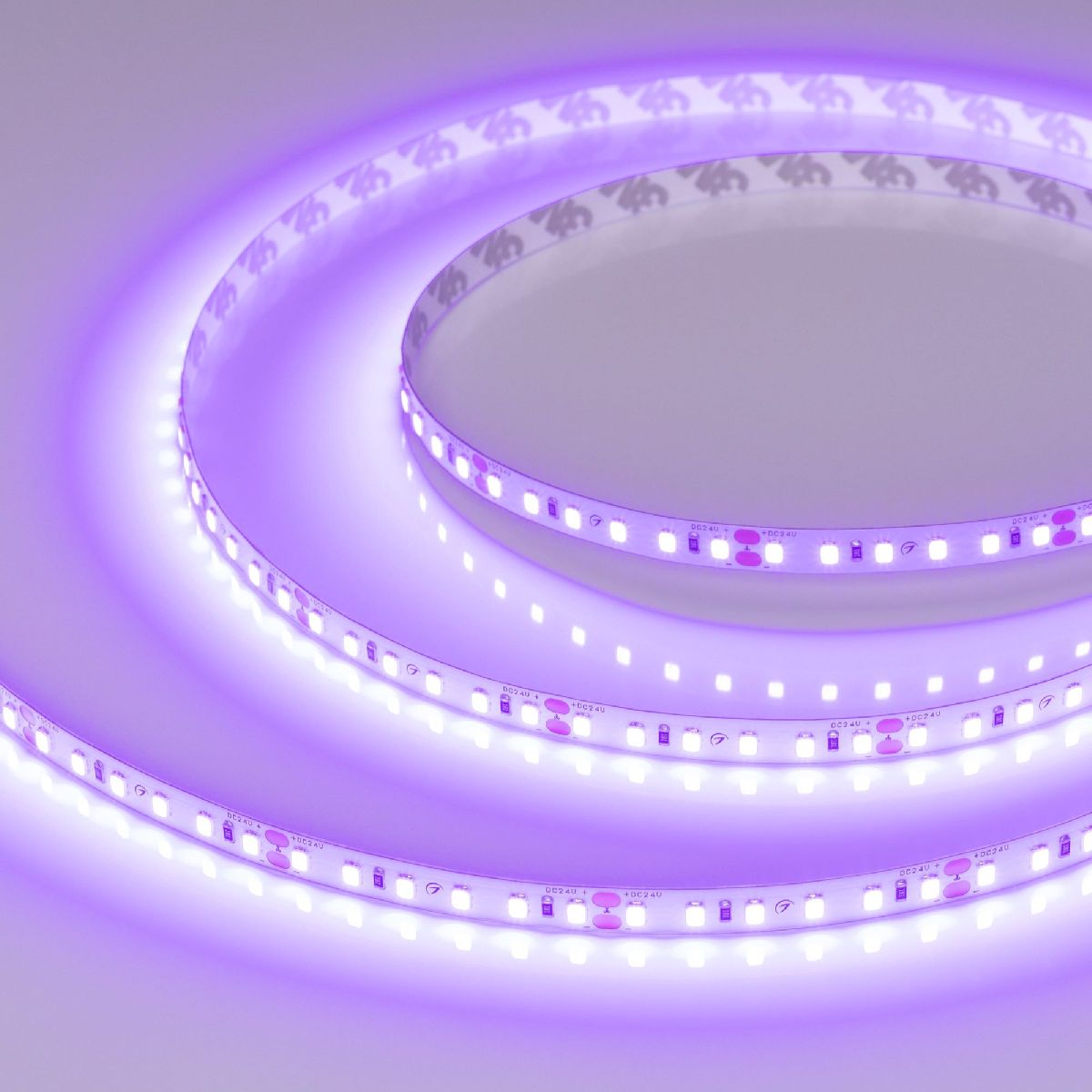 Светодиодная лента Arlight RT-A120-8mm 24V Violet (9.6 W/m, IP20, 2835, 5m) 043384 в Санкт-Петербурге