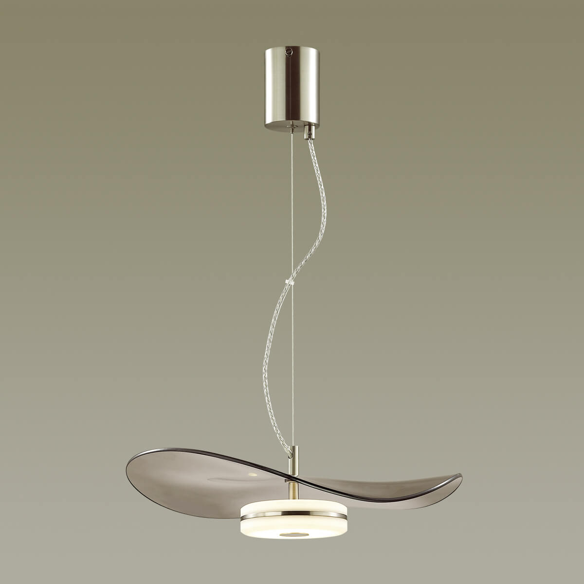 Подвесной светильник Odeon Light FLUENT 4858/13L в Санкт-Петербурге