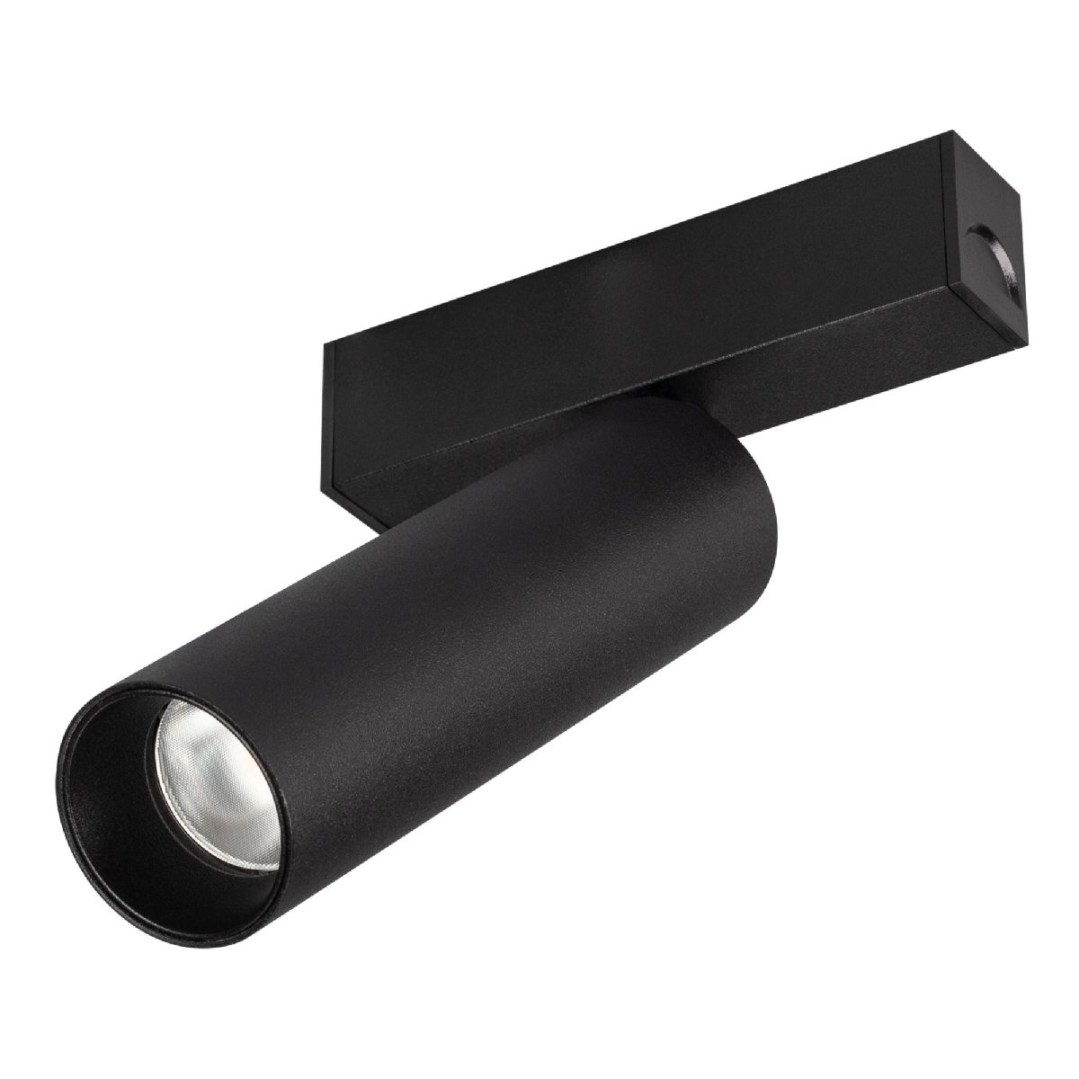 Трековый магнитный светильник Arlight MAG-SPOT-25-R120-12W Warm3000 (BK, 30 deg, 24V) 033678(1) в Санкт-Петербурге