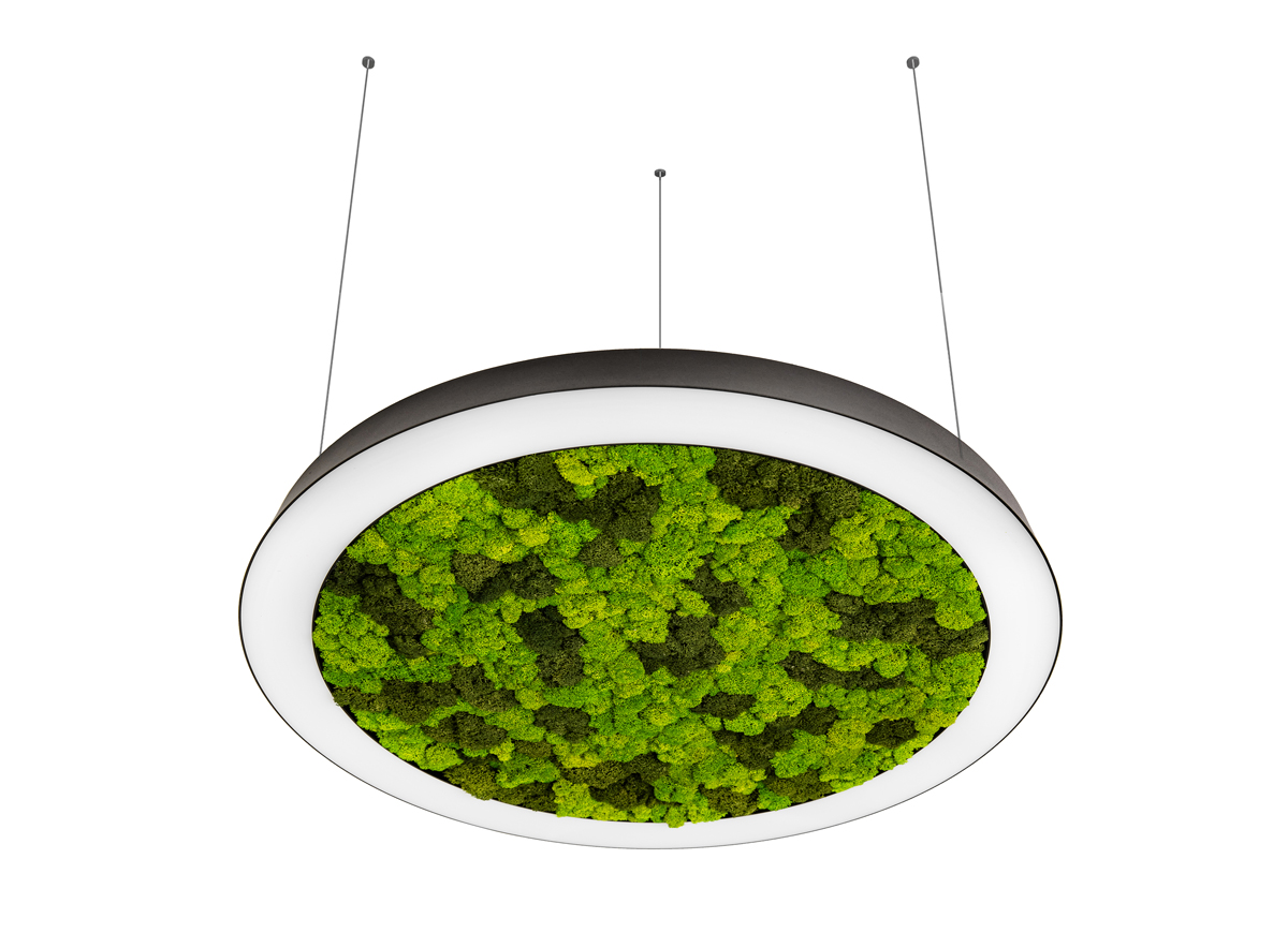 Подвесная люстра Donolux Aura Moss DL1000S90NW Moss Black в Санкт-Петербурге