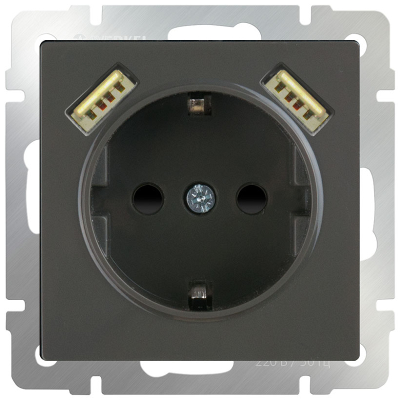 Розетка с заземлением, шторками и USBх2 Werkel WL07-SKGS-USBx2-IP20 серо-коричневый 4690389093999 в Санкт-Петербурге