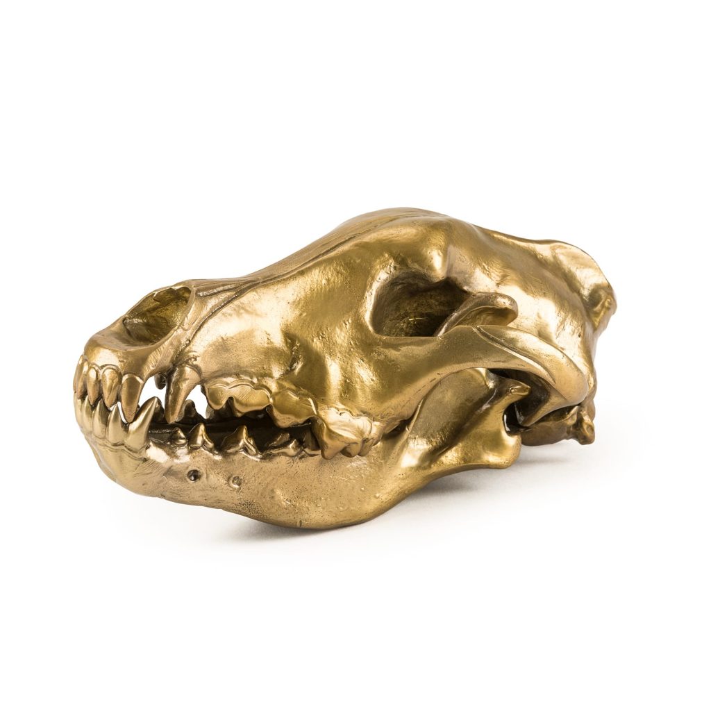 Статуэтка Wolf Skull Seletti Wunderkammer 10892 в Санкт-Петербурге