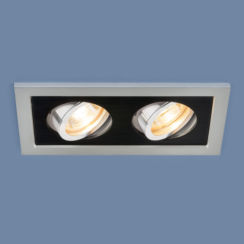 Встраиваемый светильник Elektrostandard 1031/2 MR16 SL/BK серебро/черный 4690389095436 в Санкт-Петербурге