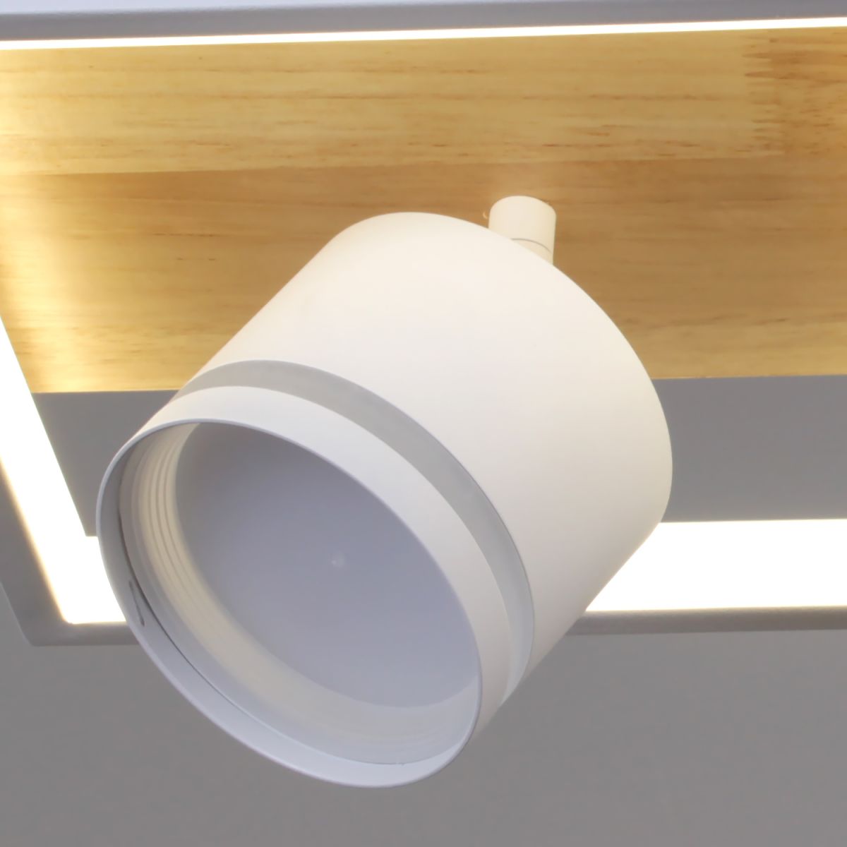 Потолочный светильник Reluce 19560-0.3-2+2 WH+WOOD в #REGION_NAME_DECLINE_PP#