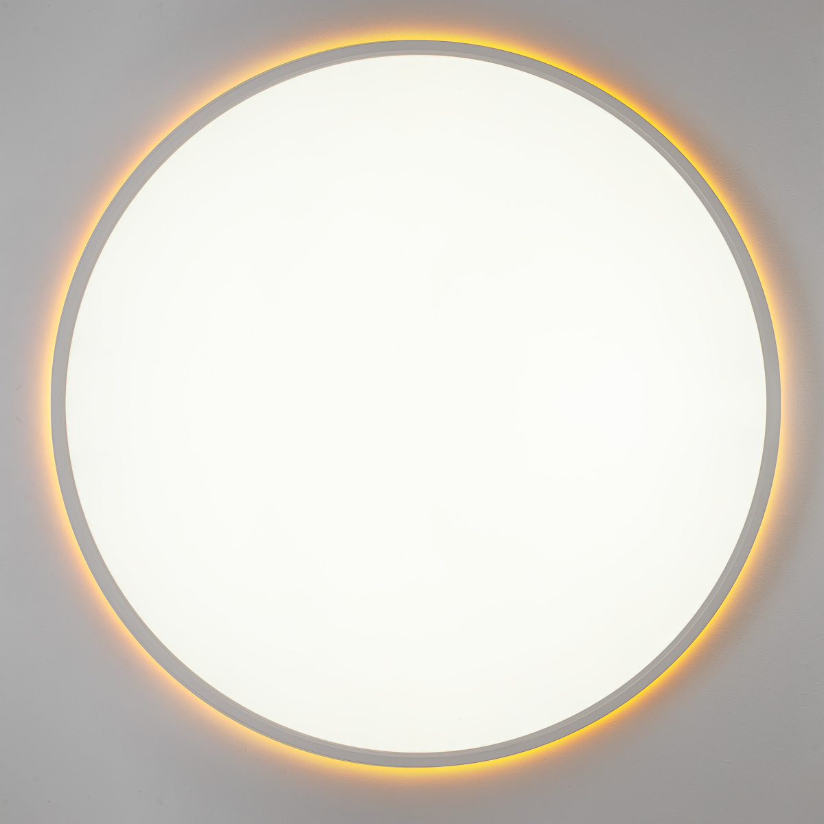 Потолочный светильник Citilux Norma LED RGB CL749600 в Санкт-Петербурге