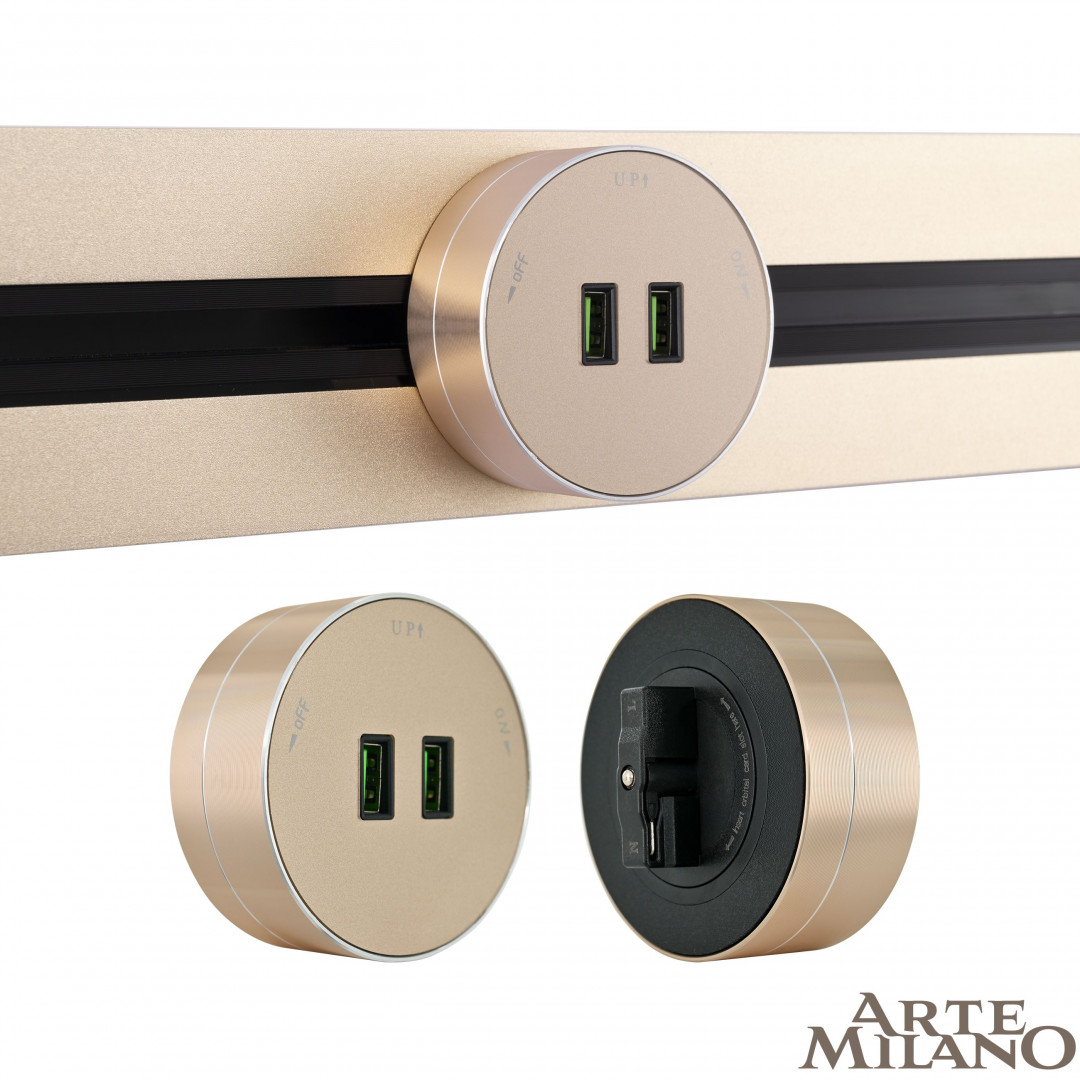 Трековая розетка Arte Milano Am-track-sockets 380011TS/USBx2 Gold в Санкт-Петербурге