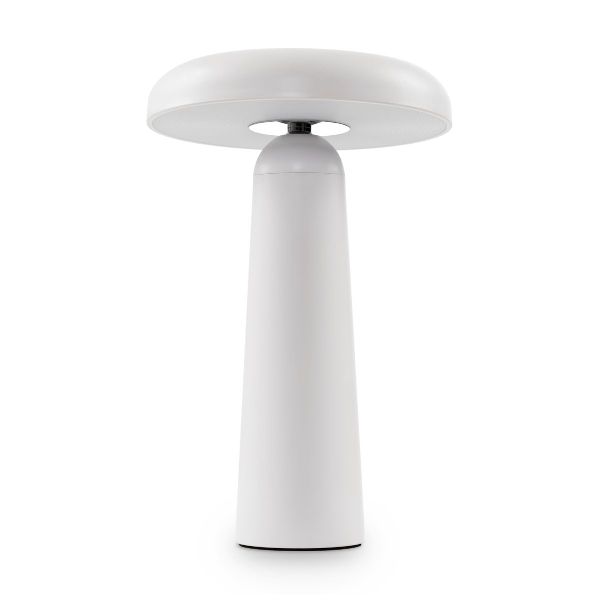 Настольная аккумуляторная лампа Freya Mushroom FR6109TL-L4W в Санкт-Петербурге