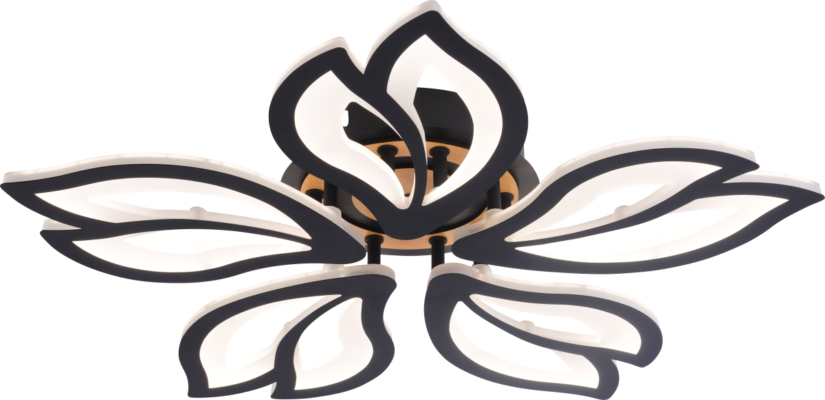 Потолочный светильник Rivoli Lana 6195-733 Б0070143 в Санкт-Петербурге