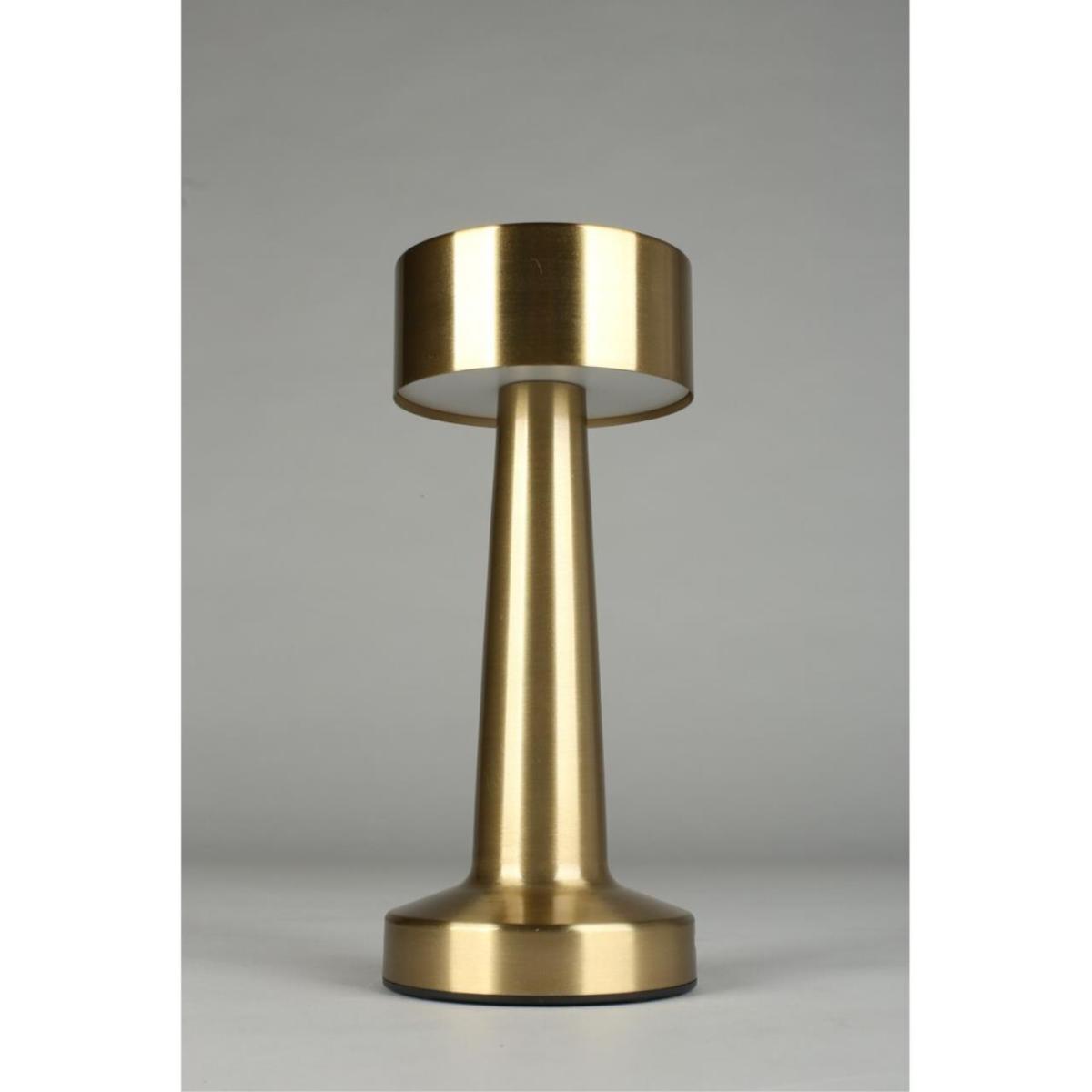 Настольная лампа Aployt Perrayn APL.671.04.01 в #REGION_NAME_DECLINE_PP#