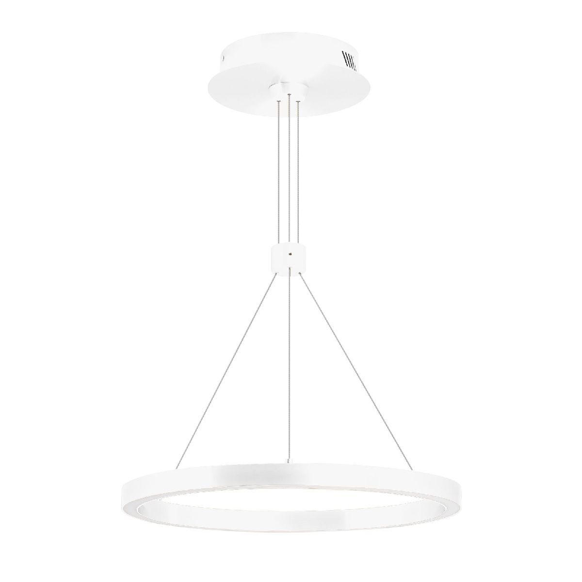 Подвесной светильник Arlight SP-CONGO-CAN-1-R400-24W Warm3000 (WH, 120 deg, 230V) 046212 в Санкт-Петербурге