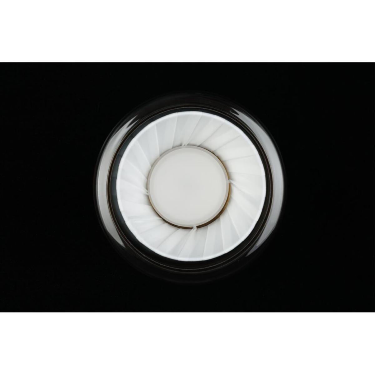 Потолочный светильник Aployt Zhyuli APL.089.17.08 в Санкт-Петербурге