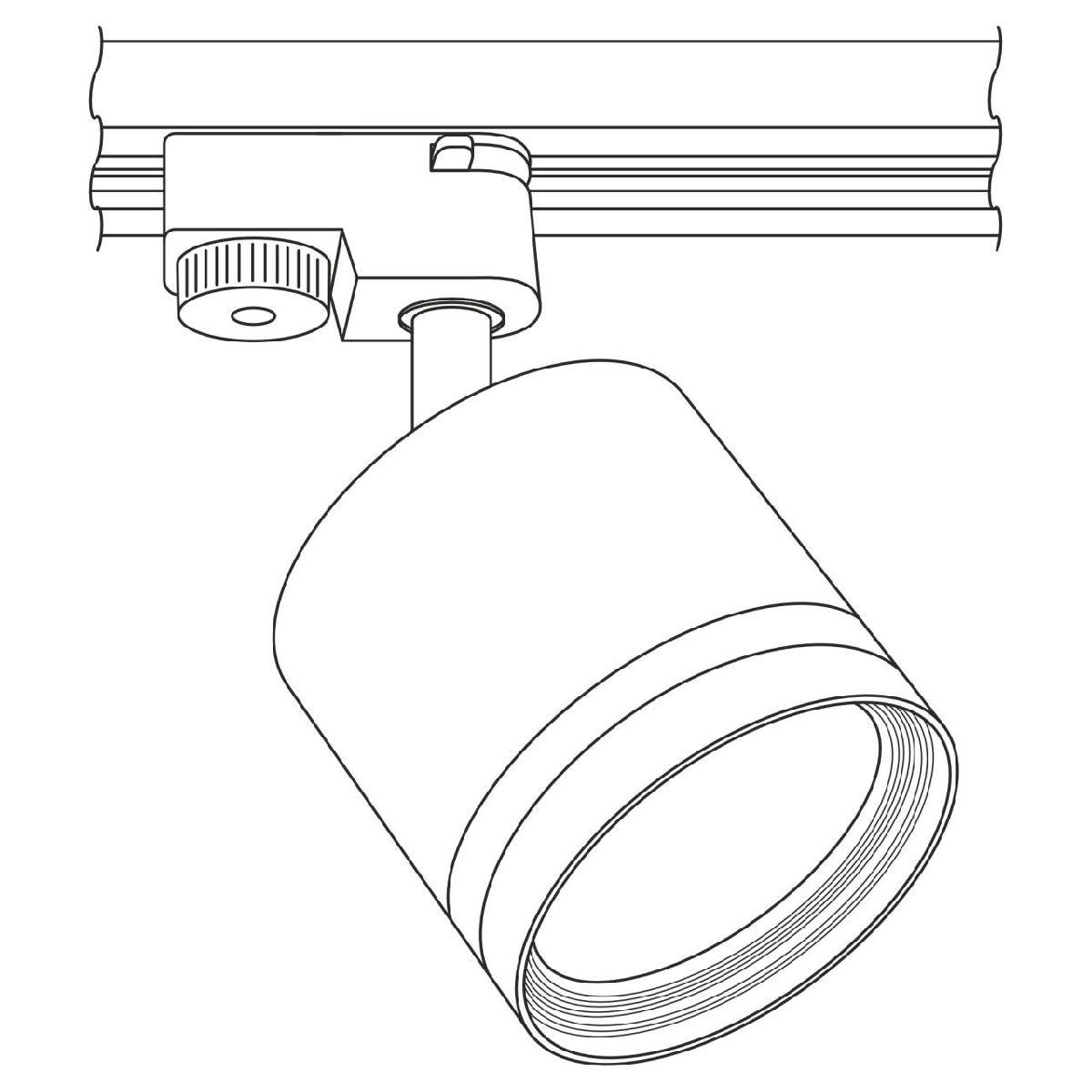 Трековый светильник Citilux Hardy CL002T10 в Санкт-Петербурге