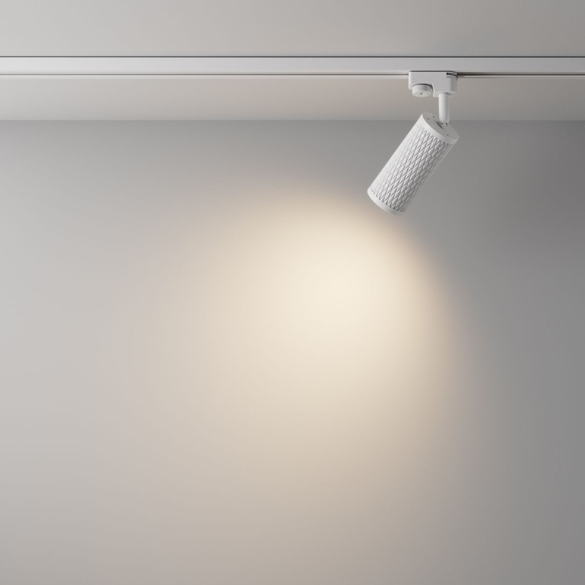 Трековый светильник Maytoni Track lamps TR011-1-GU10-W в #REGION_NAME_DECLINE_PP#