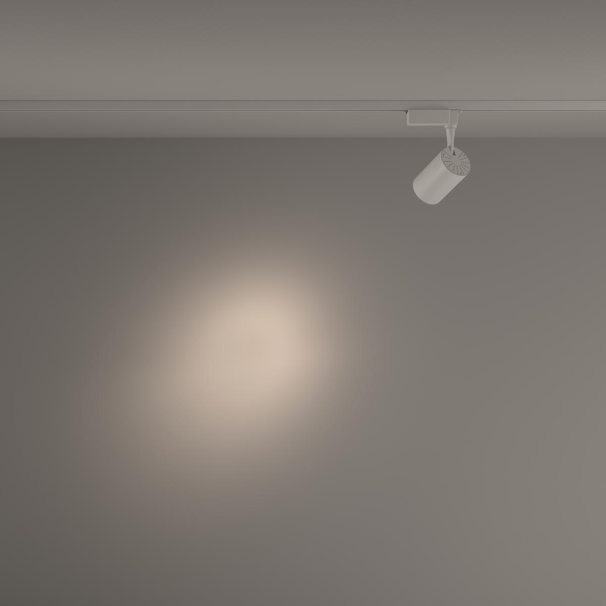 Трековый светильник Maytoni Technical Vuoro TR003-1-10W4K-S-W в Санкт-Петербурге