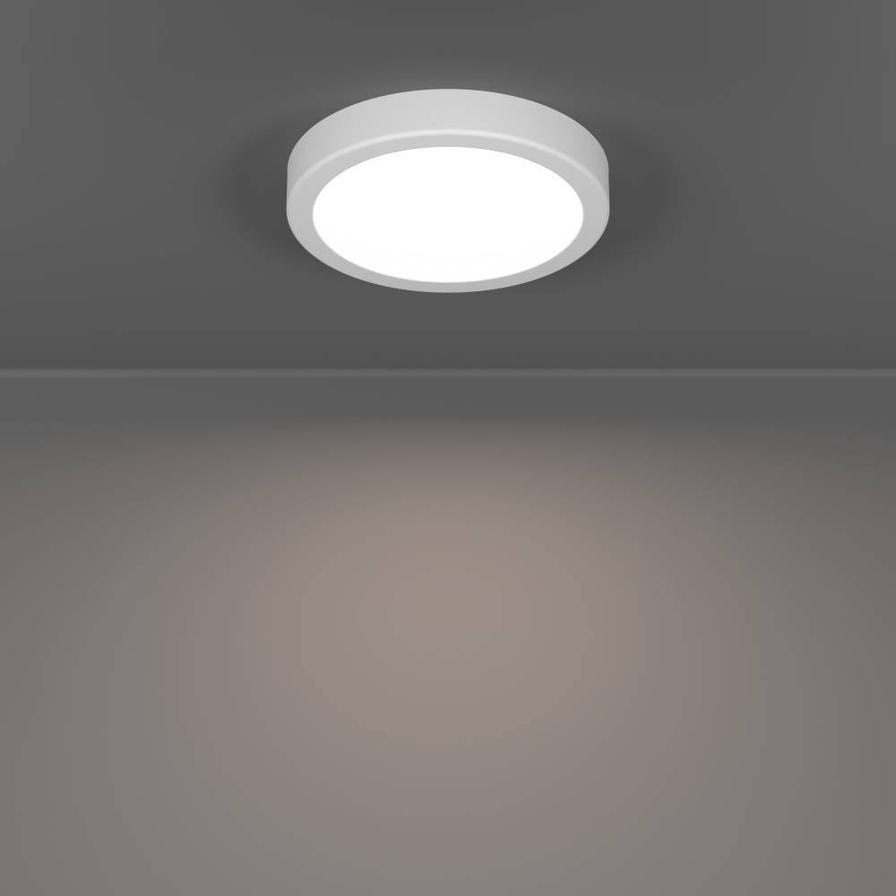 Настенно-потолочный светильник Eglo Fueva 6 901332 в Санкт-Петербурге