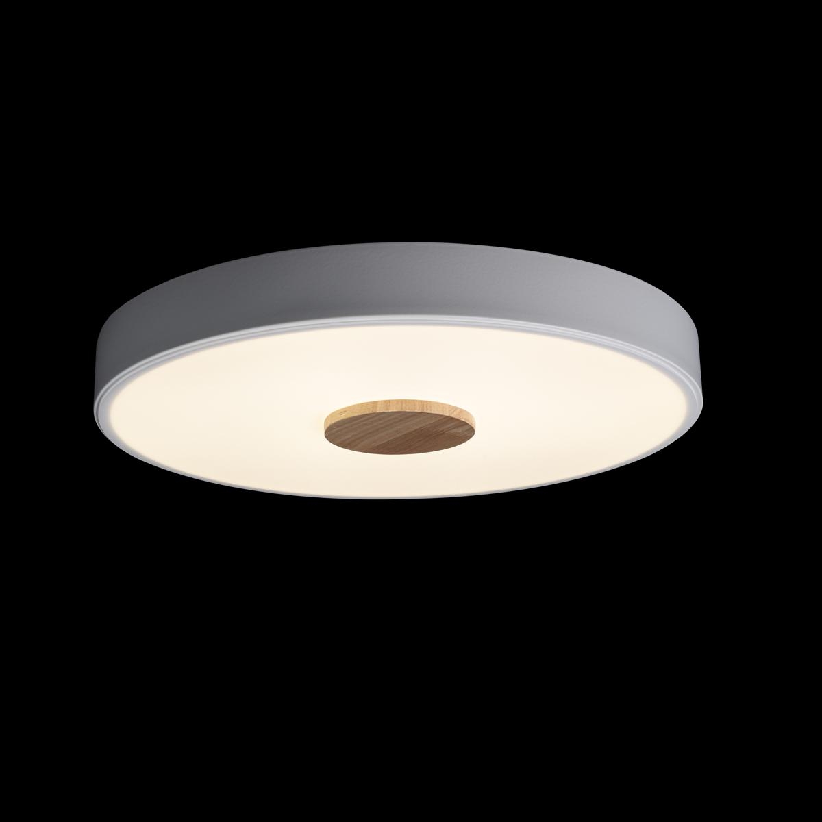 Потолочный светильник Loft IT AXEL 10003/24 White УЦ в Санкт-Петербурге