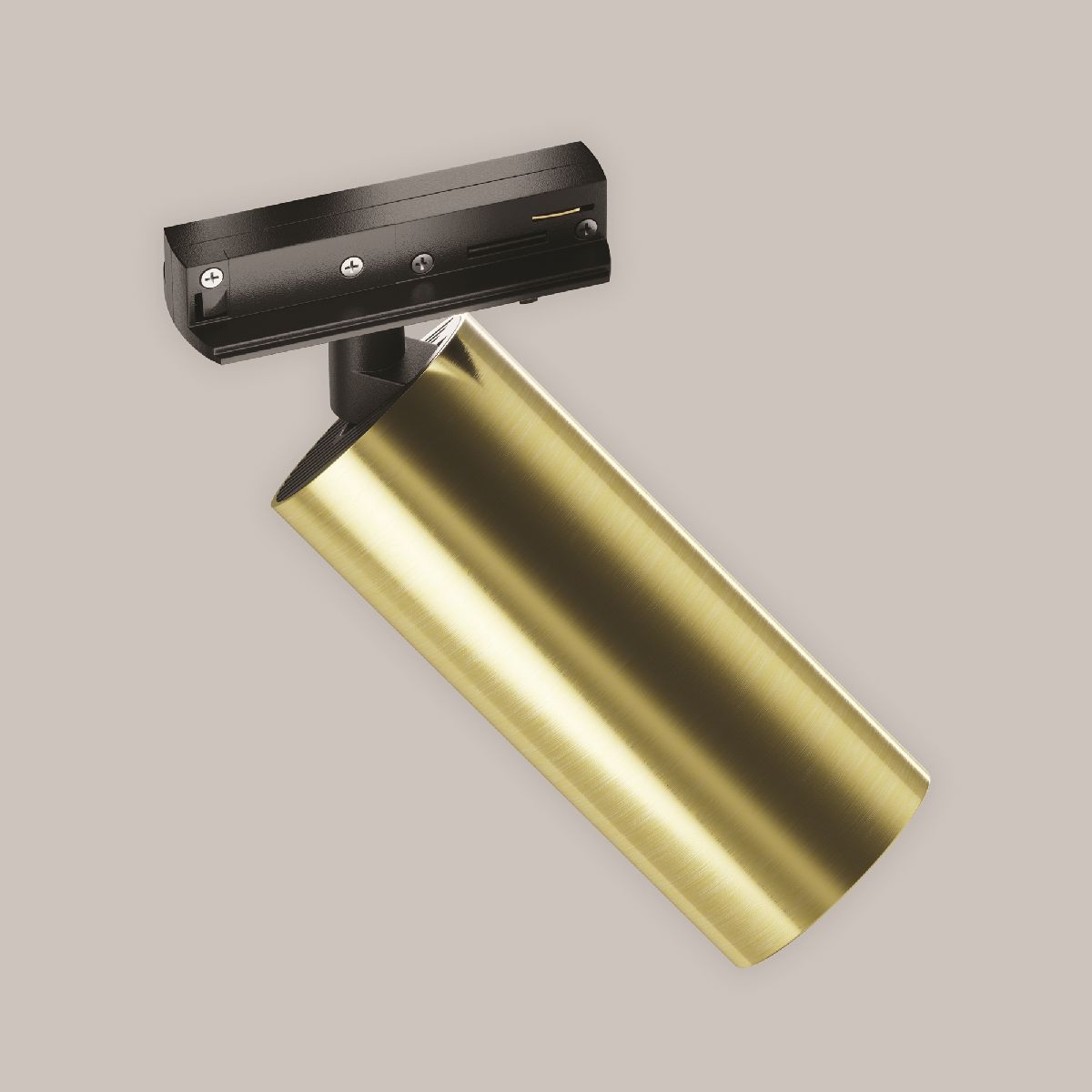 Трековый однофазный светильник Maytoni Focus Led TR021-1-12W4K-W-BBS в Санкт-Петербурге