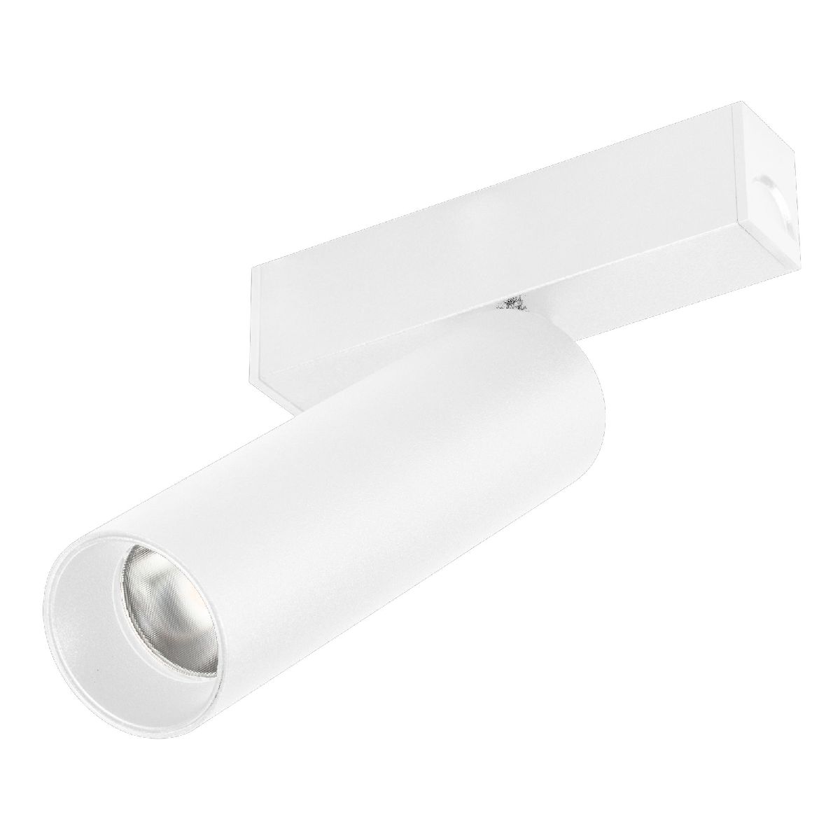 Трековый магнитный светильник Arlight MAG-SPOT-25-R120-12W Day4000 050076 в Санкт-Петербурге
