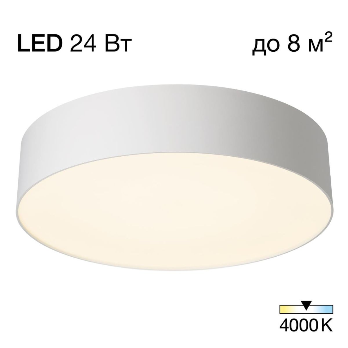 Потолочный светильник Citilux Bart CL755290 в Санкт-Петербурге