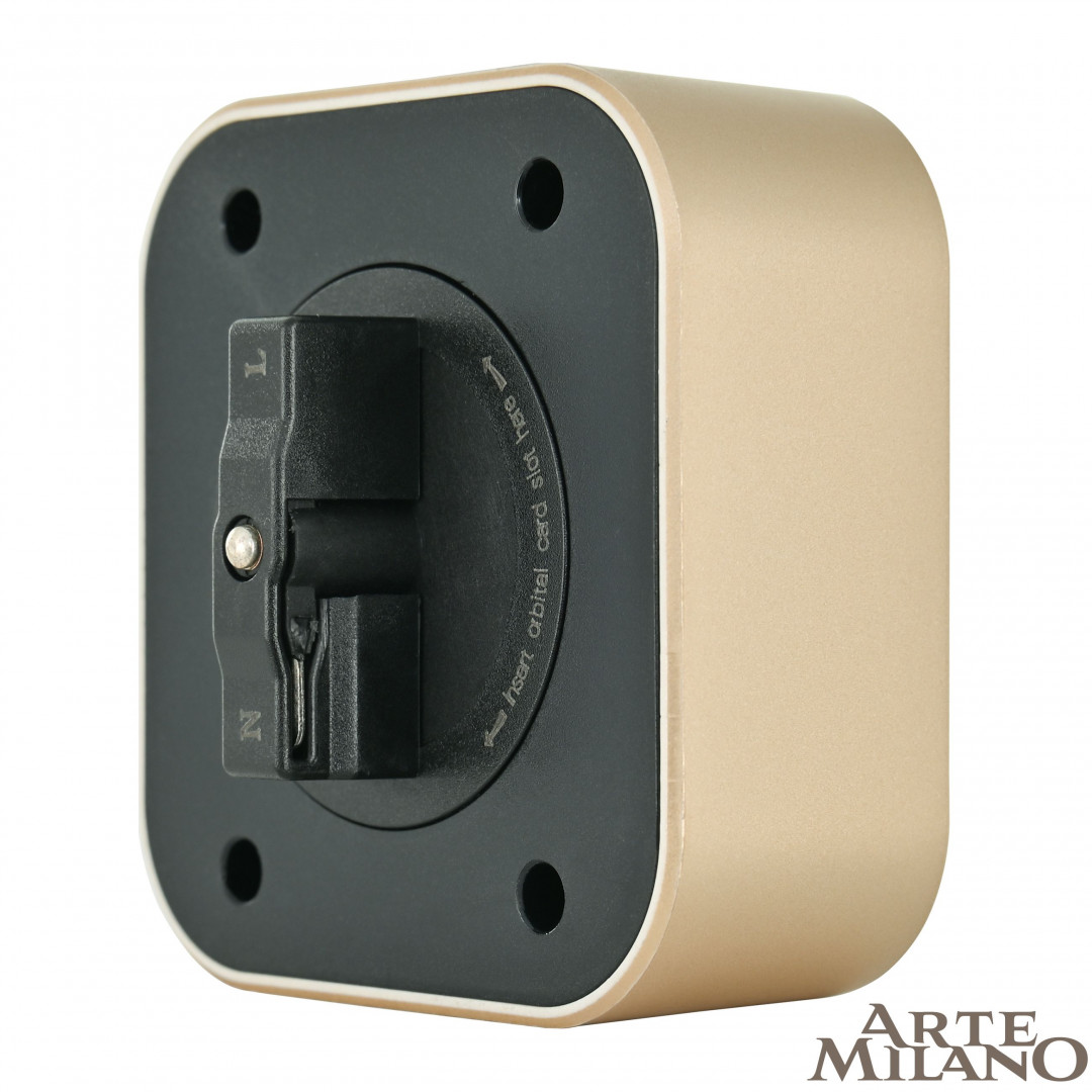 Трековая розетка Arte Milano Am-track-sockets 380022TS/USBx2 Gold в Санкт-Петербурге