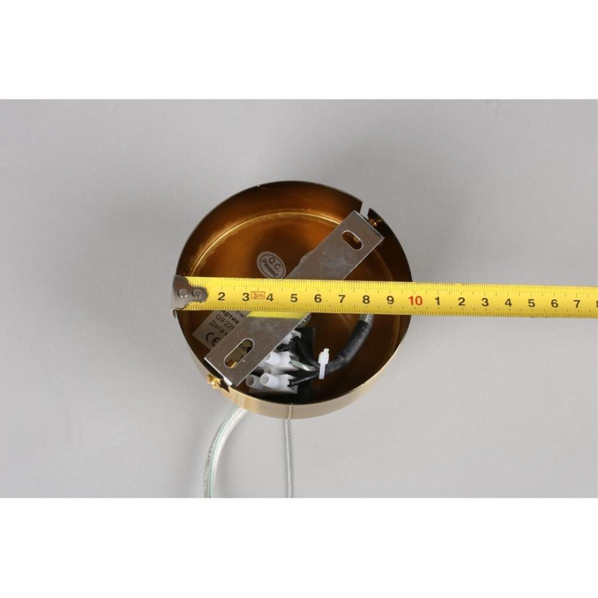 Подвесной светильник Aployt Letizia APL.314.06.06 в Санкт-Петербурге