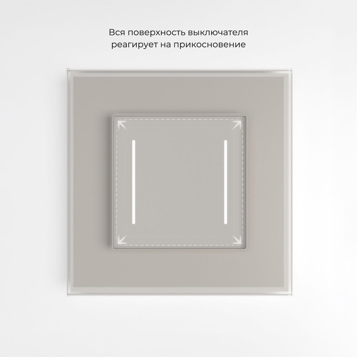 Выключатель сенсорный двухклавишный с подсветкой Werkel W4522014 4690389213922 a069763 в Санкт-Петербурге