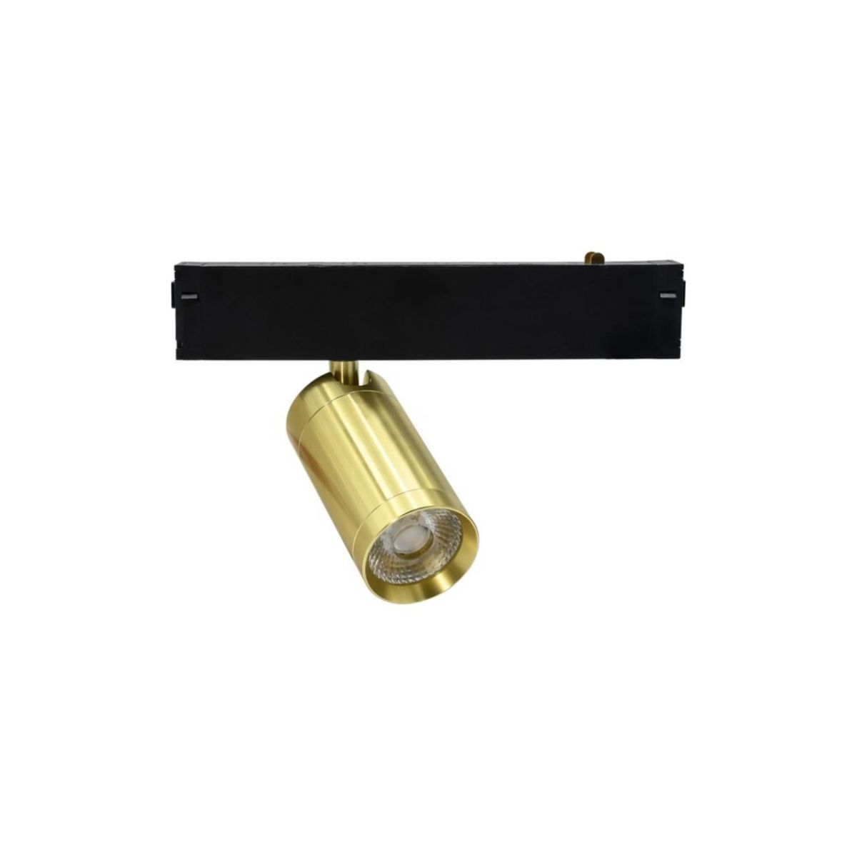 Трековый магнитный светильник Aployt Magnetic track 220 APL.0205.10.09 в Санкт-Петербурге