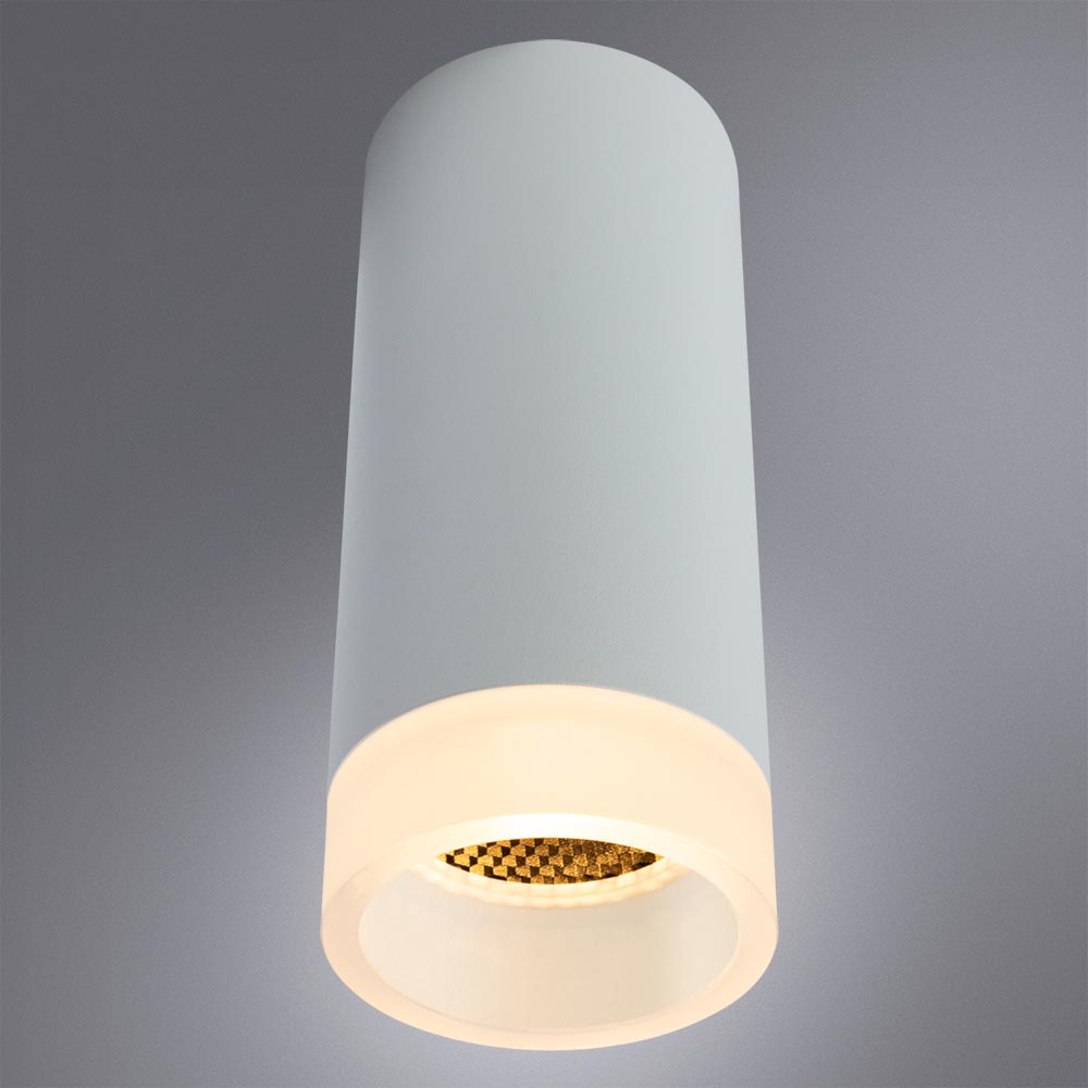 Накладной светильник Arte Lamp Ogma A5556PL-1WH в Санкт-Петербурге