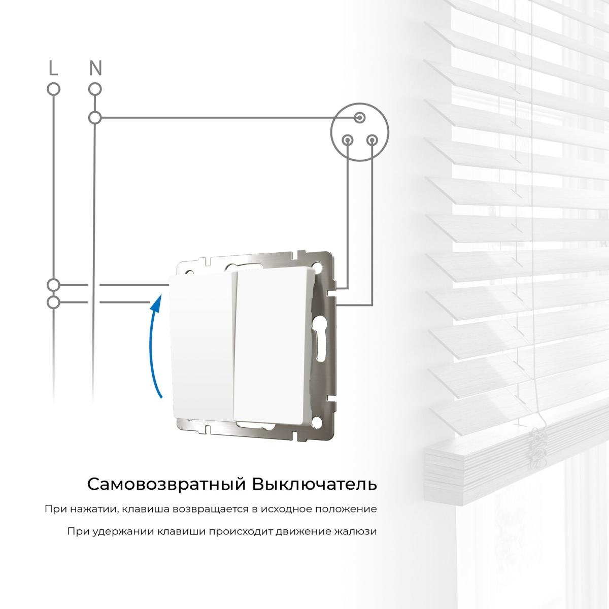 Выключатель двухклавишный с самовозвратом Werkel 4690389192319 W1122401 a062572 в Санкт-Петербурге