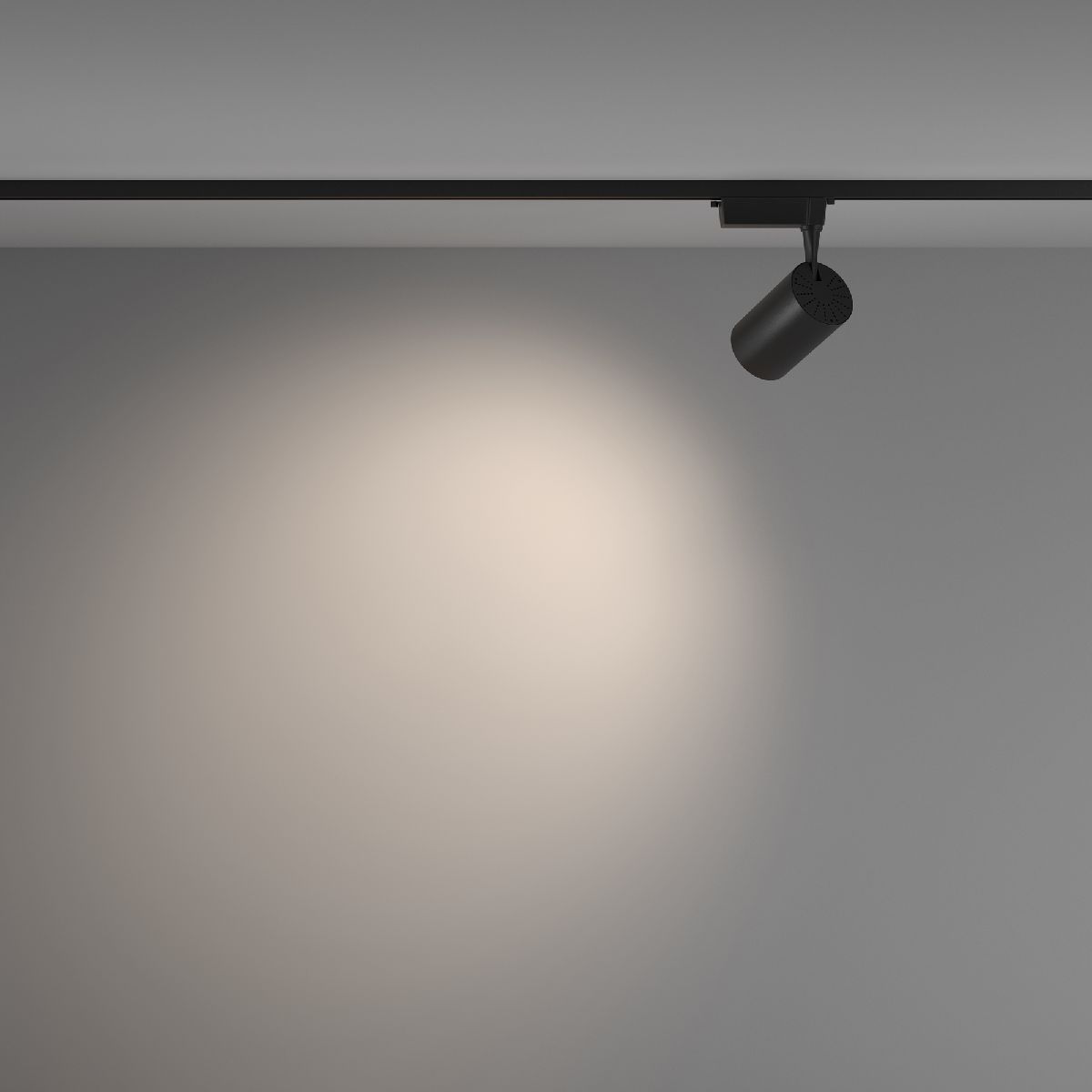 Трековый светильник Maytoni Technical Vuoro TR003-1-15W4K-W-B в #REGION_NAME_DECLINE_PP#