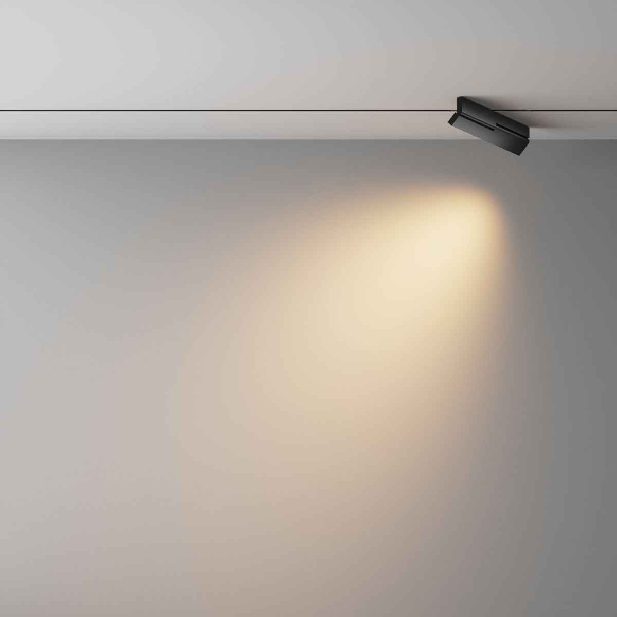 Трековый магнитный светильник Maytoni Technical Points Rot Exility X TR242-2-12W3K-B в Санкт-Петербурге