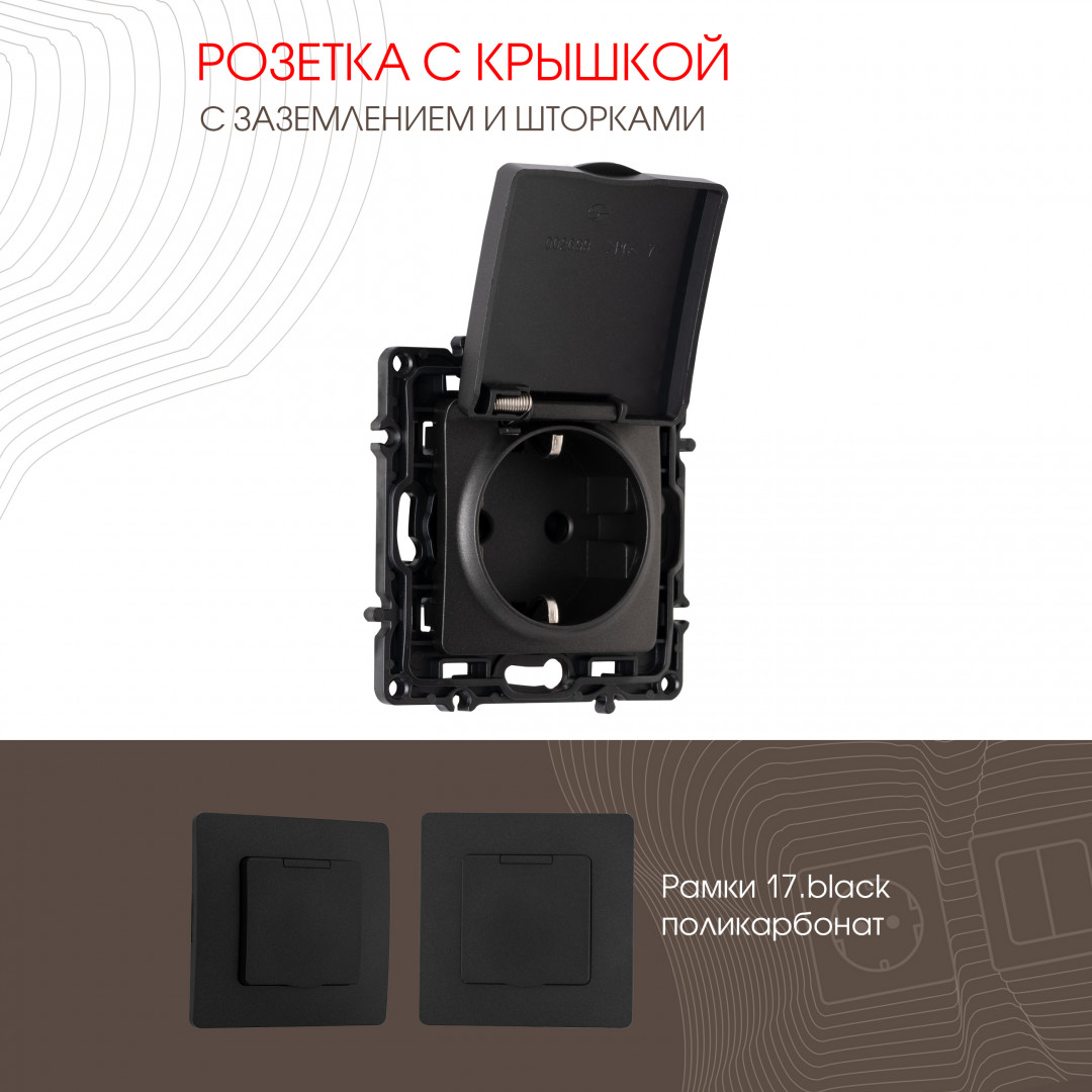 Розетка с заземлением, шторками и защитной крышкой Arte Milano 217.41-1.black в Санкт-Петербурге