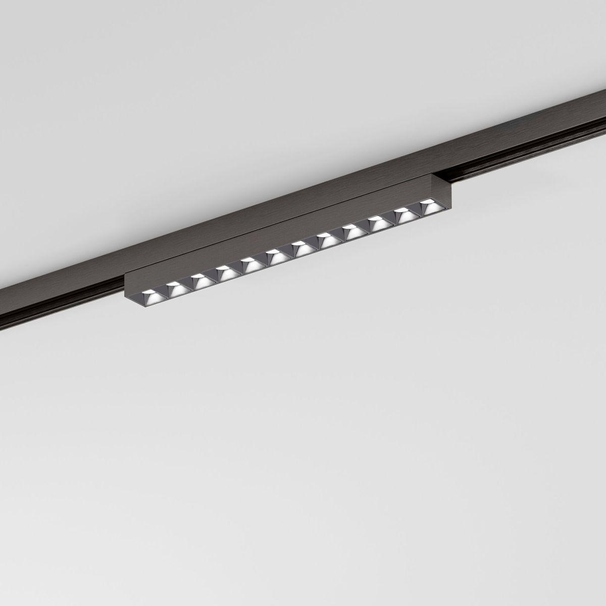 Трековый магнитный светильник Elektrostandard Line Magnetic 85528/01 4690389220586 a072694 в Санкт-Петербурге