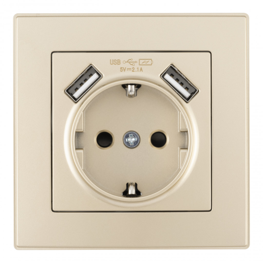 Комплект розетки с/з и шторками + USB и рамкой Arte Milano SET06-1-47-1 shampan в Санкт-Петербурге